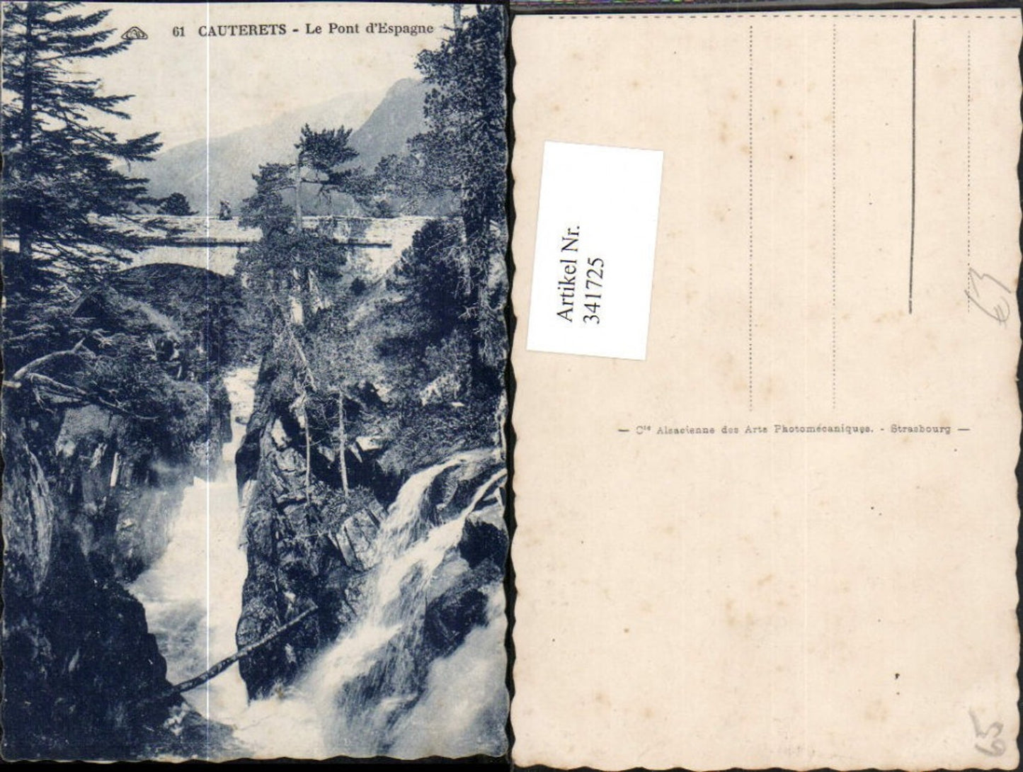 341725,Midi-Pyrenees Hautes-Pyrenees Cauterets Le Pont d'Espagne Brücke Wasserfall