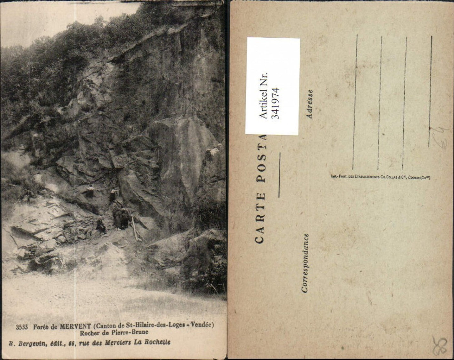 341974,Pays de la Loire Vendee Foret de Mervent Rocher de Pierre-Brune Felswand