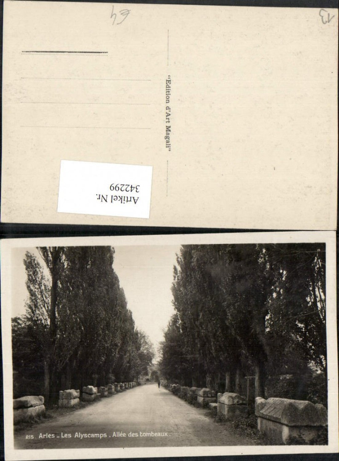 342299,Provence-Alpes-Cote-Azur Bouches-de-Rhone Arles Alyscamps Allee des tombeaux
