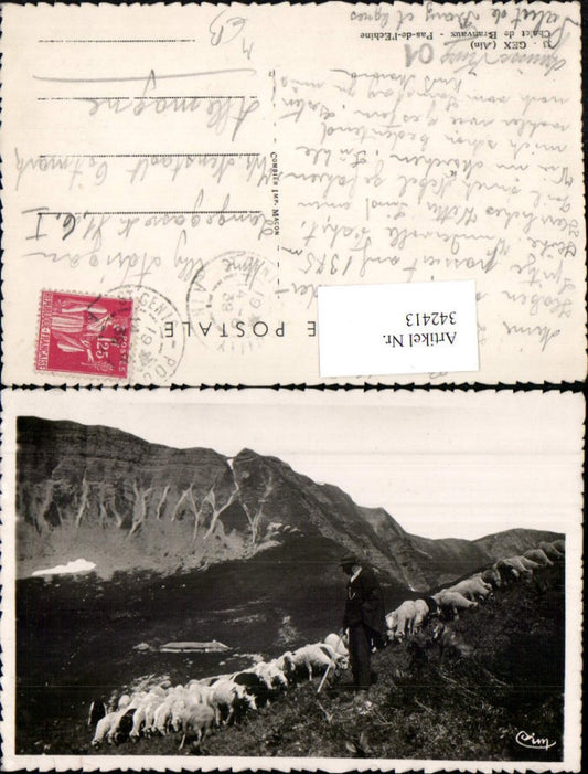 342413,Rhone-Alpes Ain Gex Chalet de Branvaux Pas-de-l'Echine Hirte Schäfer Bergkulisse