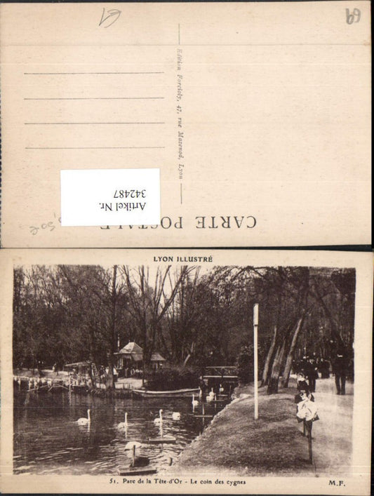 342487,Rhone-Alpes Rhone Lyon Parc de la Tete-d'Or Le coin des Cygnes Schwäne