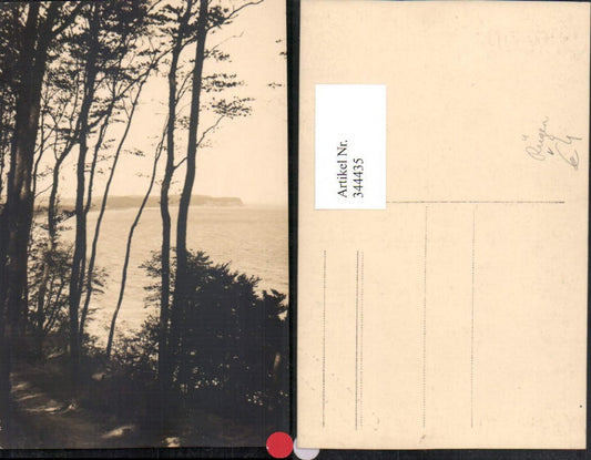 344435,Foto AK Göhren Rügen Küste Bäume pub Karl Bitterling