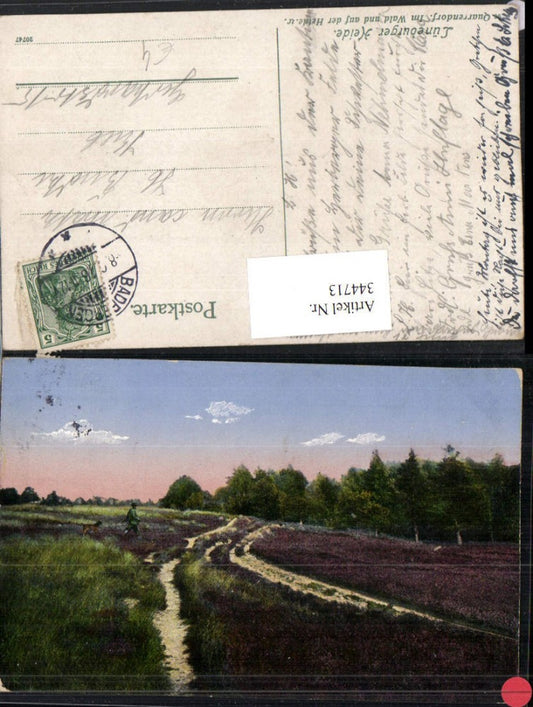 344713,Lüneburger Heide Quarrendorf Im Wald und auf der Heide Landschaft