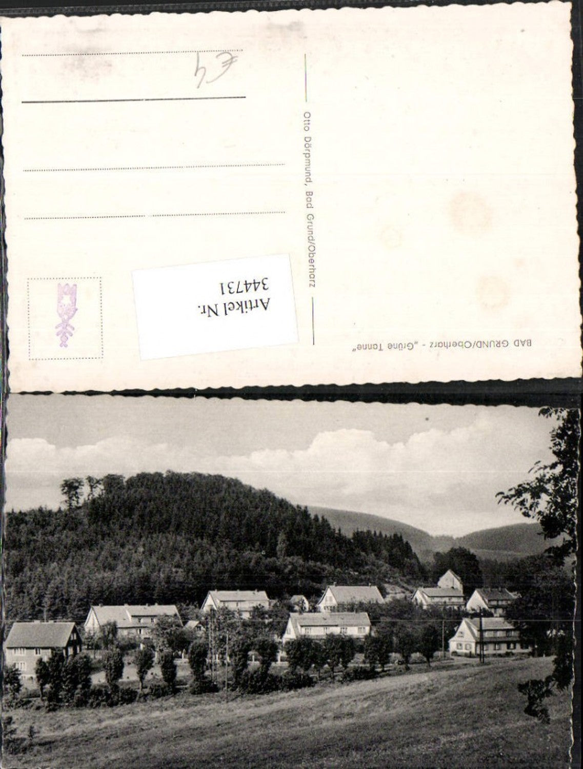 344731,Bad Grund im Oberharz Grüne Tanne Häuser