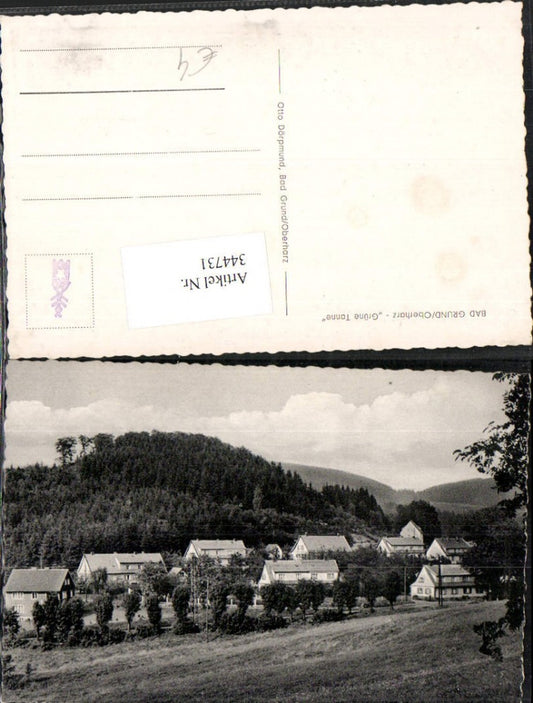 344731,Bad Grund im Oberharz Grüne Tanne Häuser