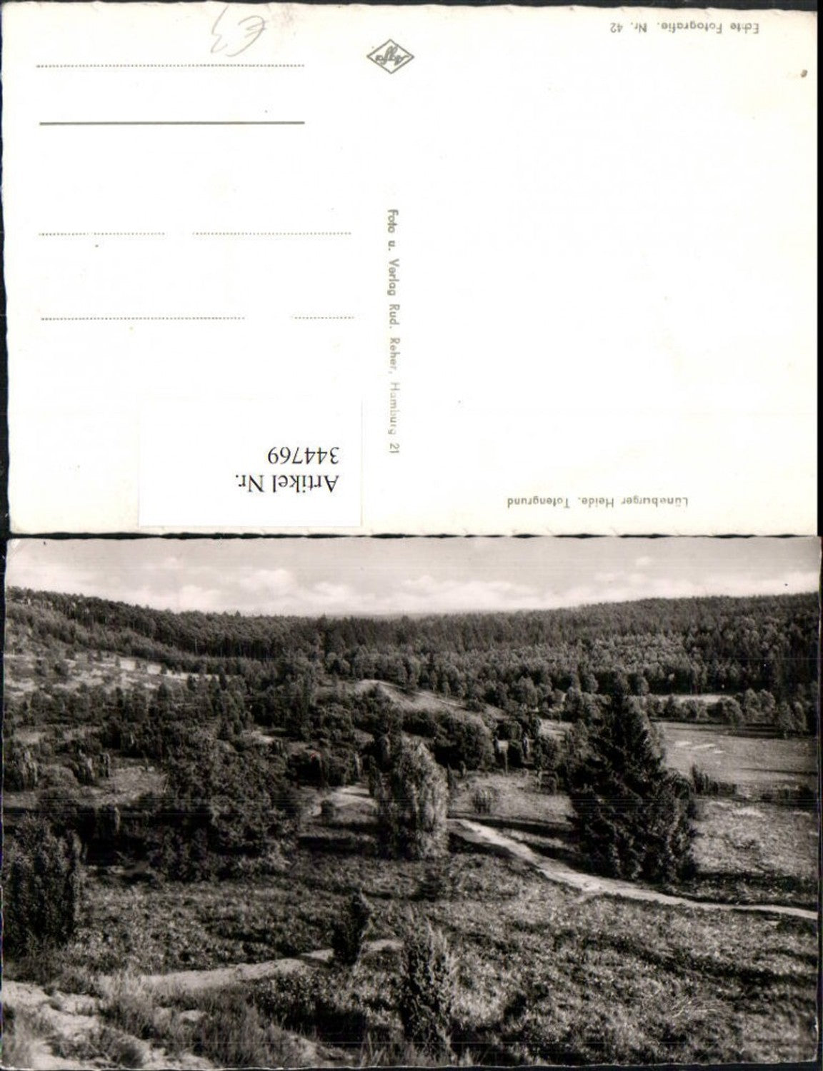 344769,Lüneburger Heide Totengrund Landschaft