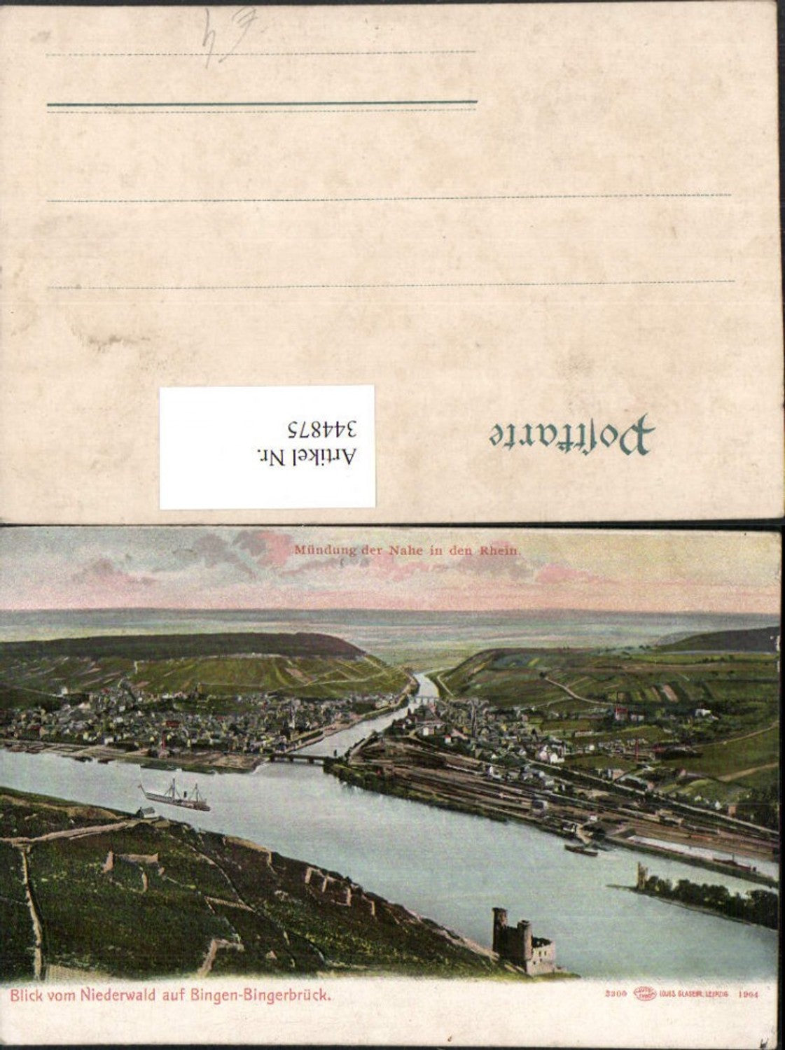 344875,Blick vom Niederwald auf Bingen-Bingerbrück Totale