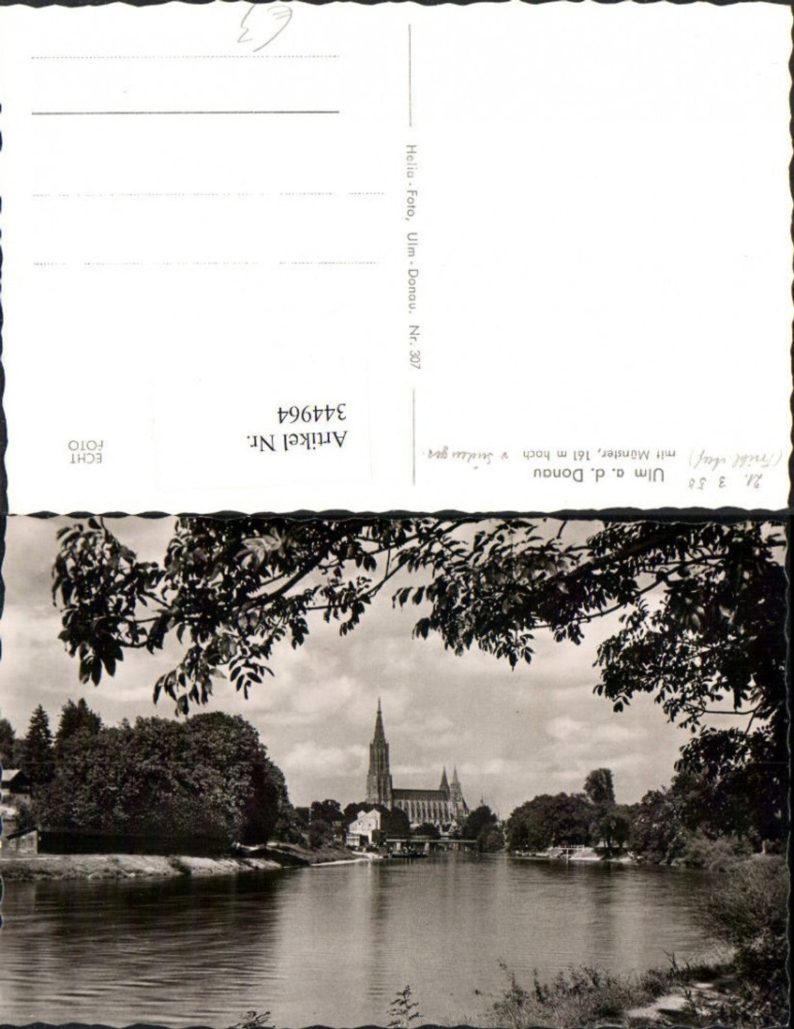 344964,Ulm an d. Donau Blick zum Münster Kirche