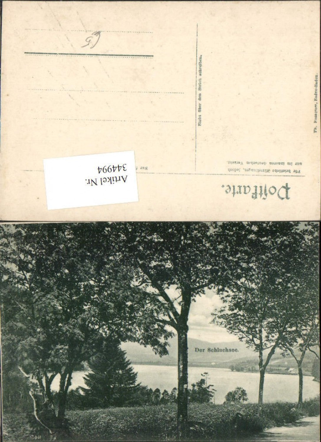 344994,Der Schluchsee See b. St. Blasien