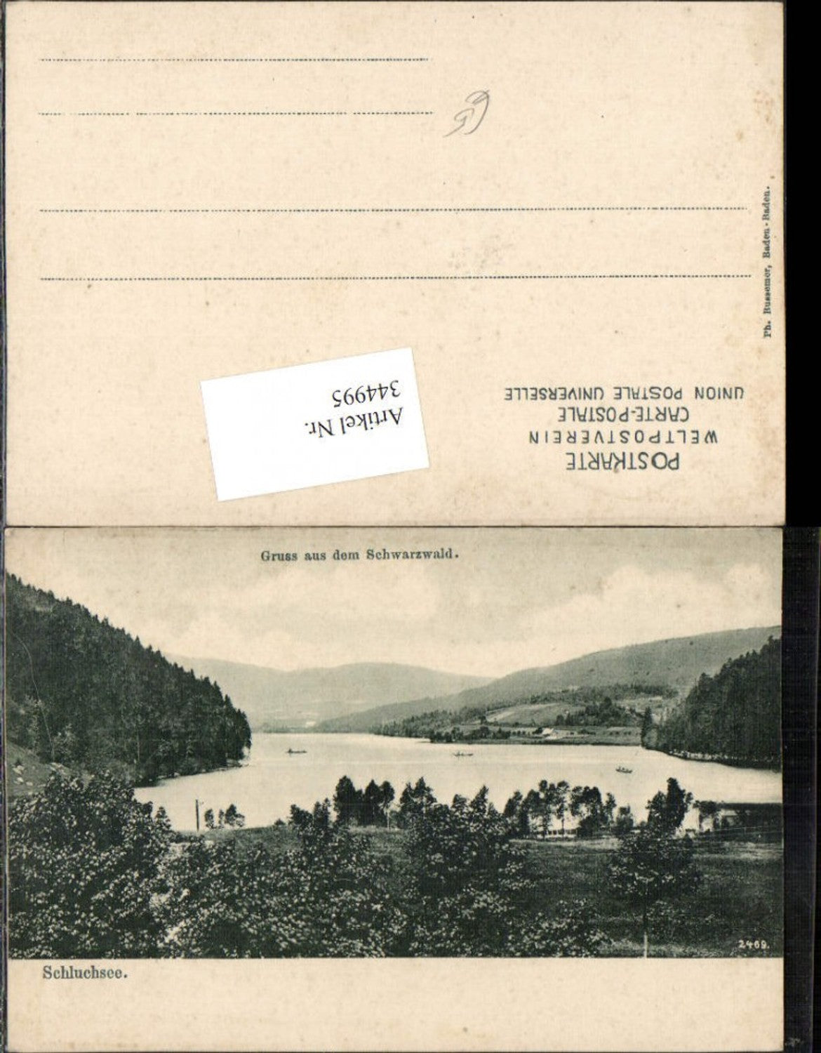 344995,Gruß aus dem Schwarzwald Schluchsee See b. St. Blasien