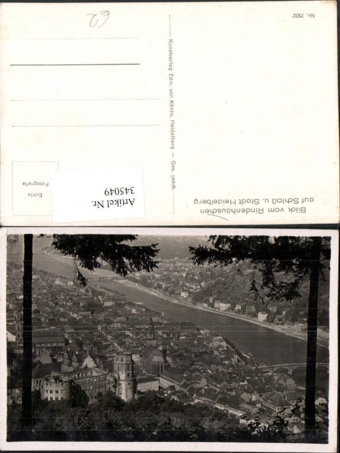 345049,Heidelberg Blick vom Rindenhäuschen auf Schloss u. Stadt Totale