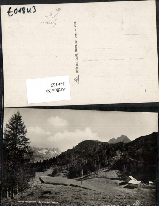 346169,Zwieselalpe Alm b. Gosau Bergkulisse