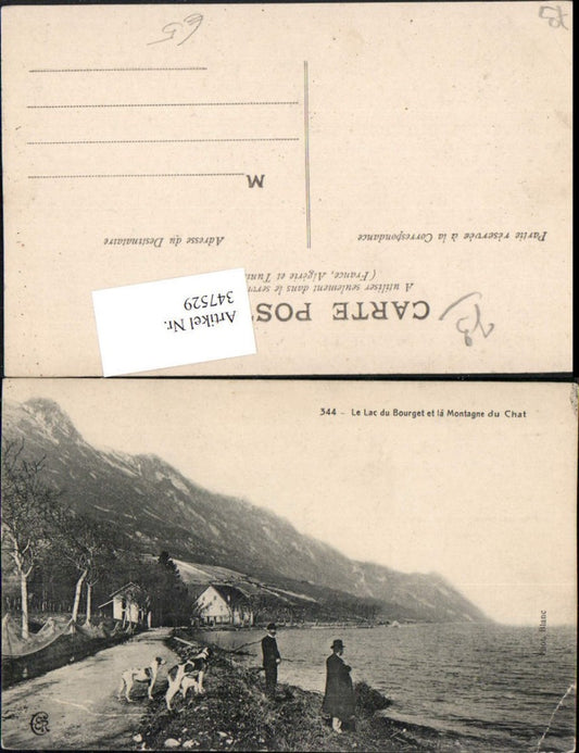 347529,Rhone-Alpes Savoie Le Lac du Bourget et la Montagne du Chat Ufer Hunde Bergkulisse