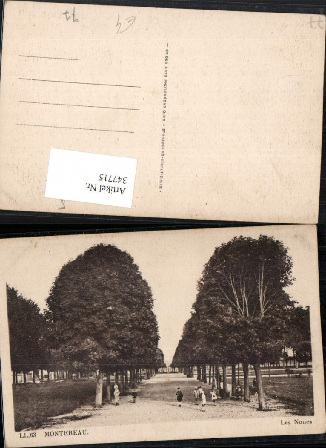 347715,Ile-de-France Seine-et-Marne Montereau Les Nues Allee