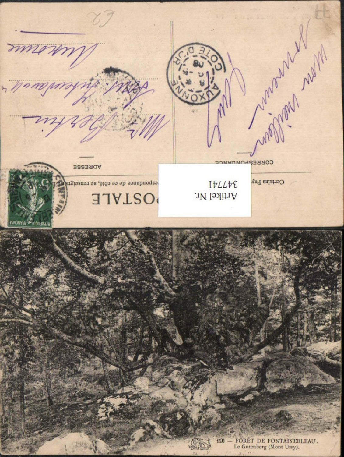 347741,Ile-de-France Seine-et-Marne Foret de Fontainebleau Le Gutenberg Wald