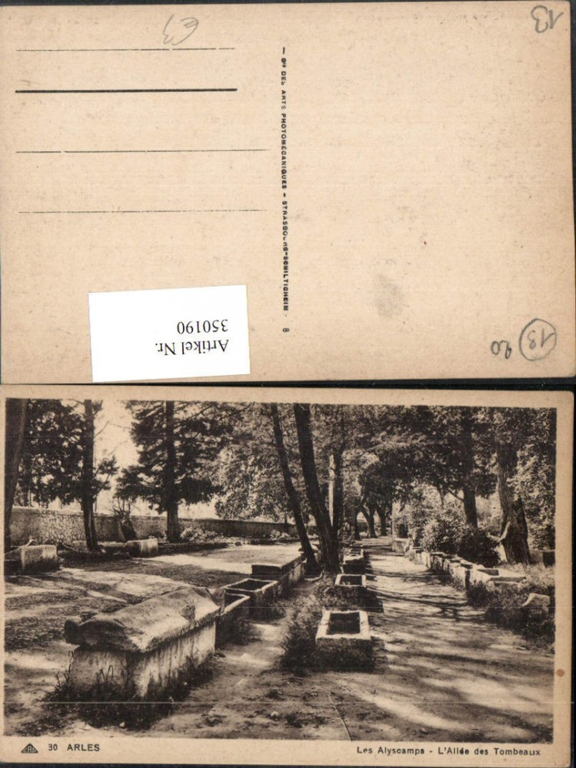 350190,Provence-Alpes-Cote-Azur Bouches-de-Rhone Arles Alyscamps Allee des Tombeaux