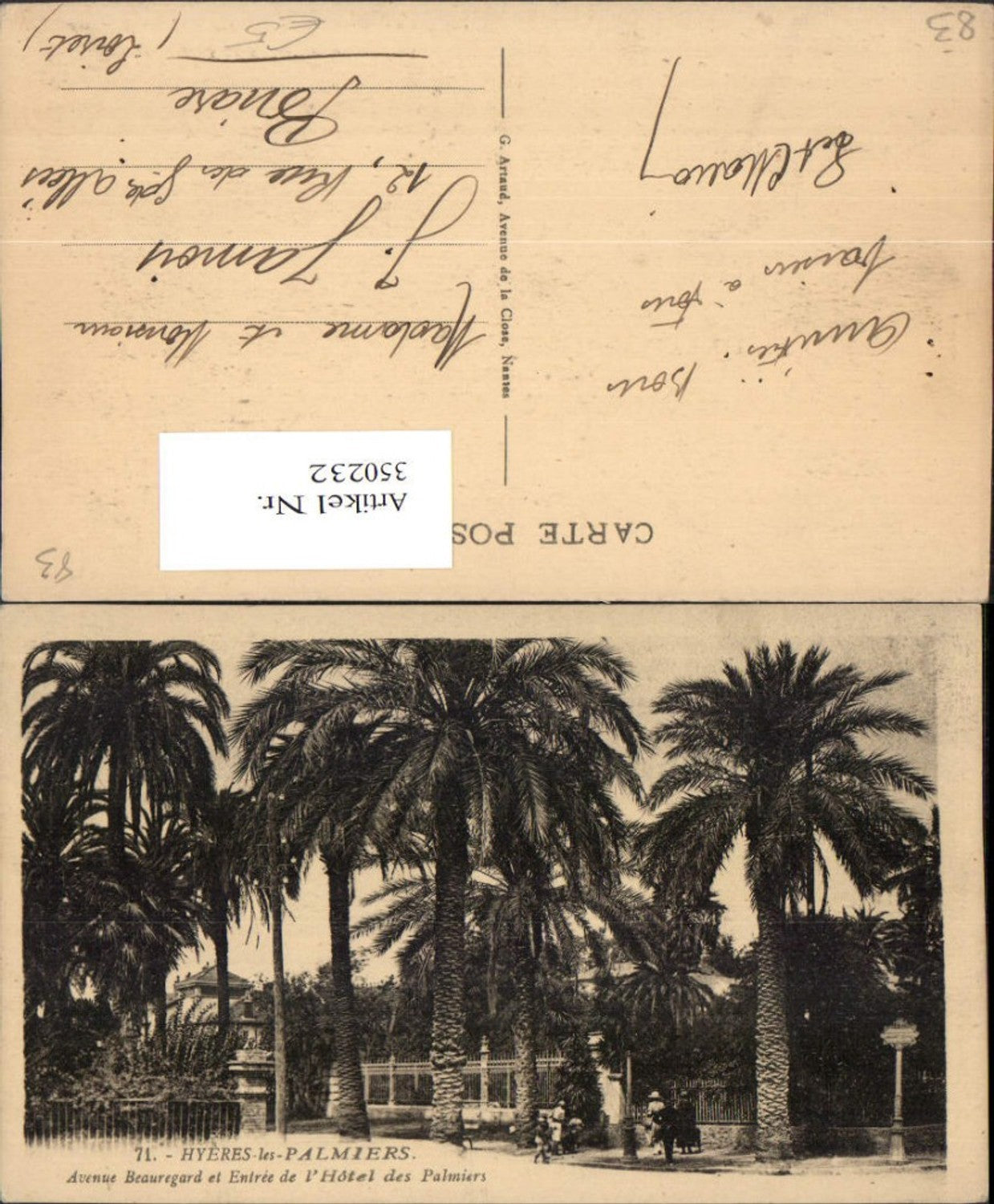 350232,Provence-Alpes-Cote-Azur Var Hyeres-les-Palmiers Avenue Beauregard Palmen
