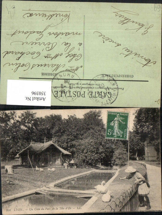 350396,Rhone-Alpes Isere Rhone Lyon Un Coin du Parc de la Tete d'Or Gänse