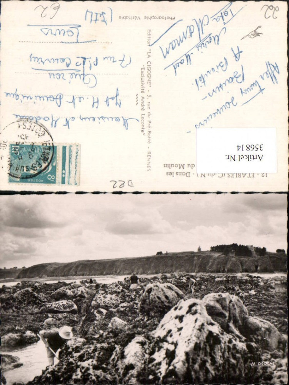 356814,Bretagne Cote-Amor Etables Dans les rochers pres de la greve du Moulin Küste