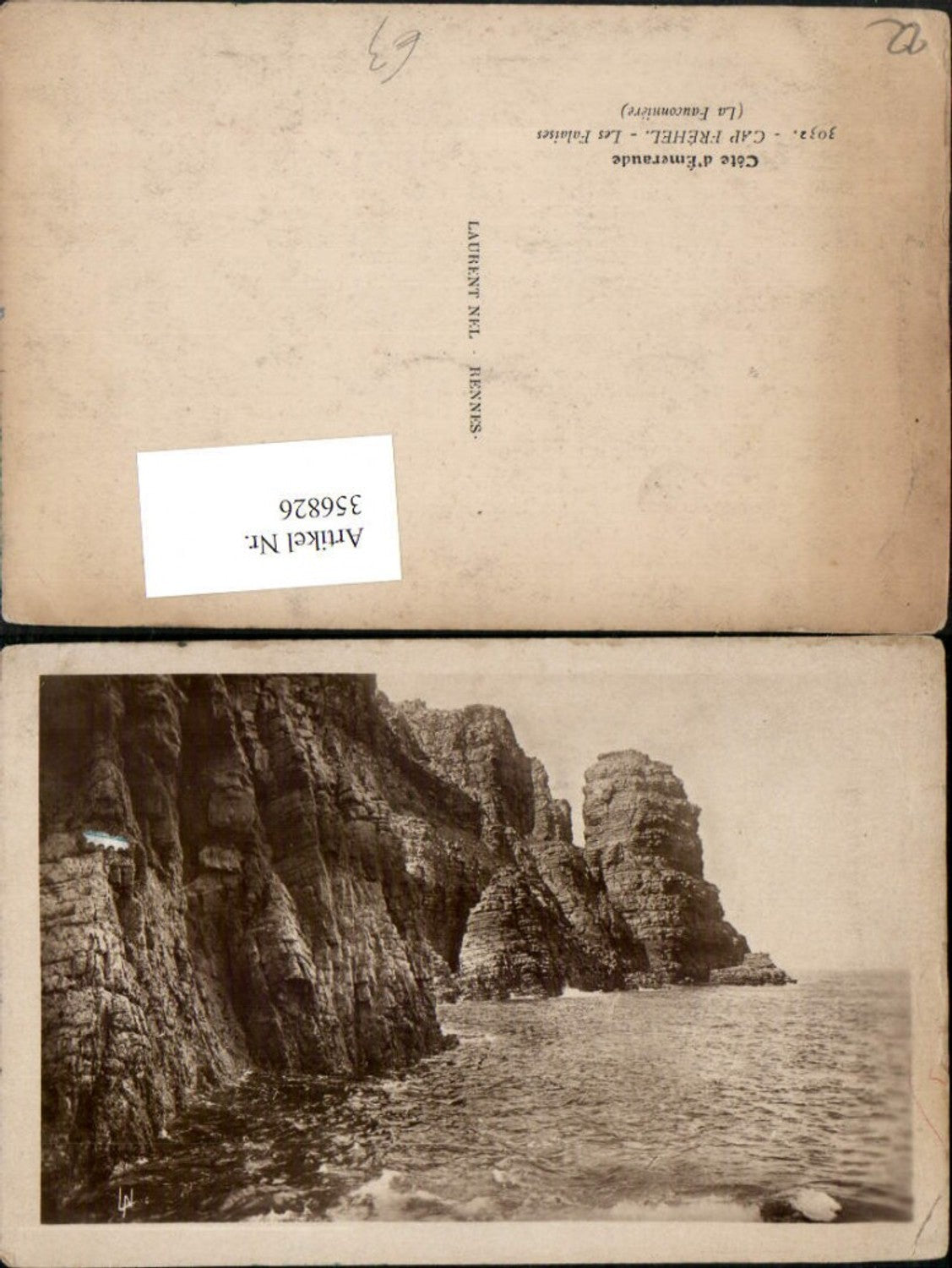 356826,Bretagne Cote-Amor Cap Frehel Les Falaises Steilküste