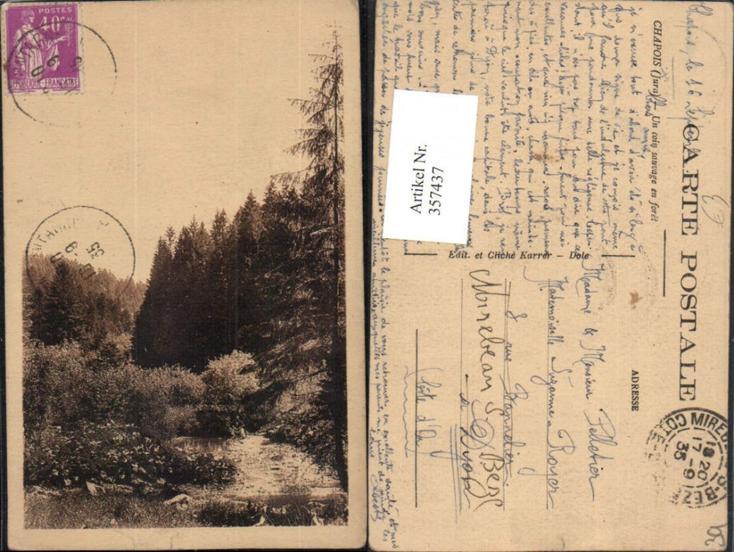 357437,Franche-Comte Jura Chapois Un coin sauvage en foret Landschaft