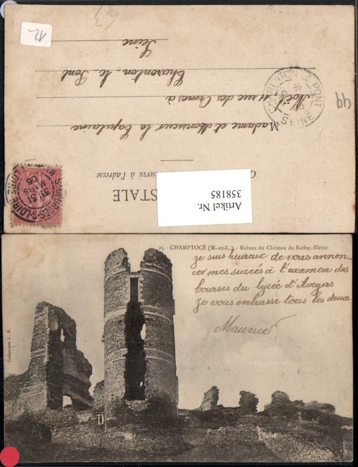 358185,Pays de la Loire Maine-et-Loire Champtoce Ruines du Chateau de Barbe-Bleue Schlossruine
