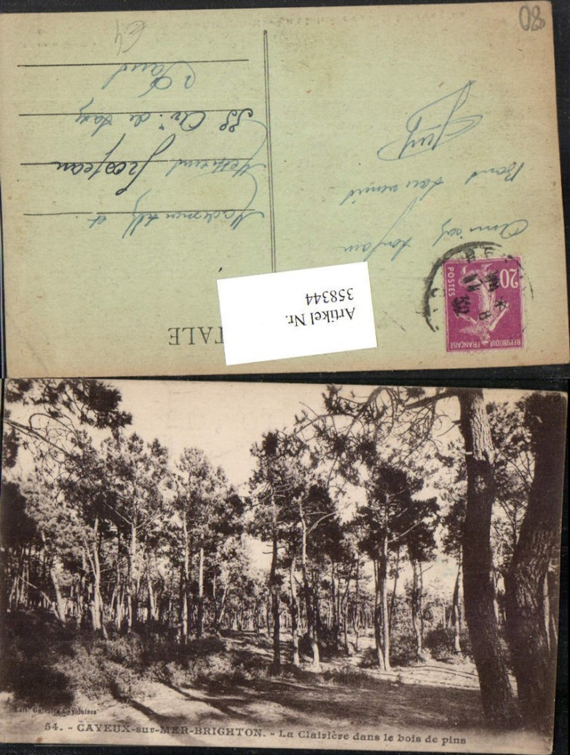358344,Picardie Somme Cayeux-sur-Mer-Brighton La Clairiere in the bois de pins forest
