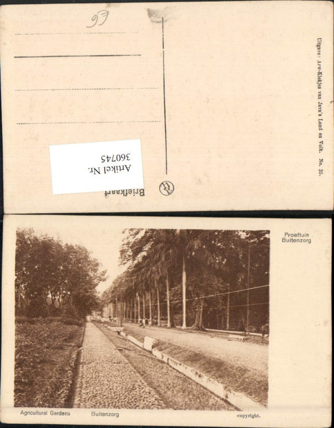 360745,Indonesia Bogor Buitenzor Proeftuin Agricultural Gardens