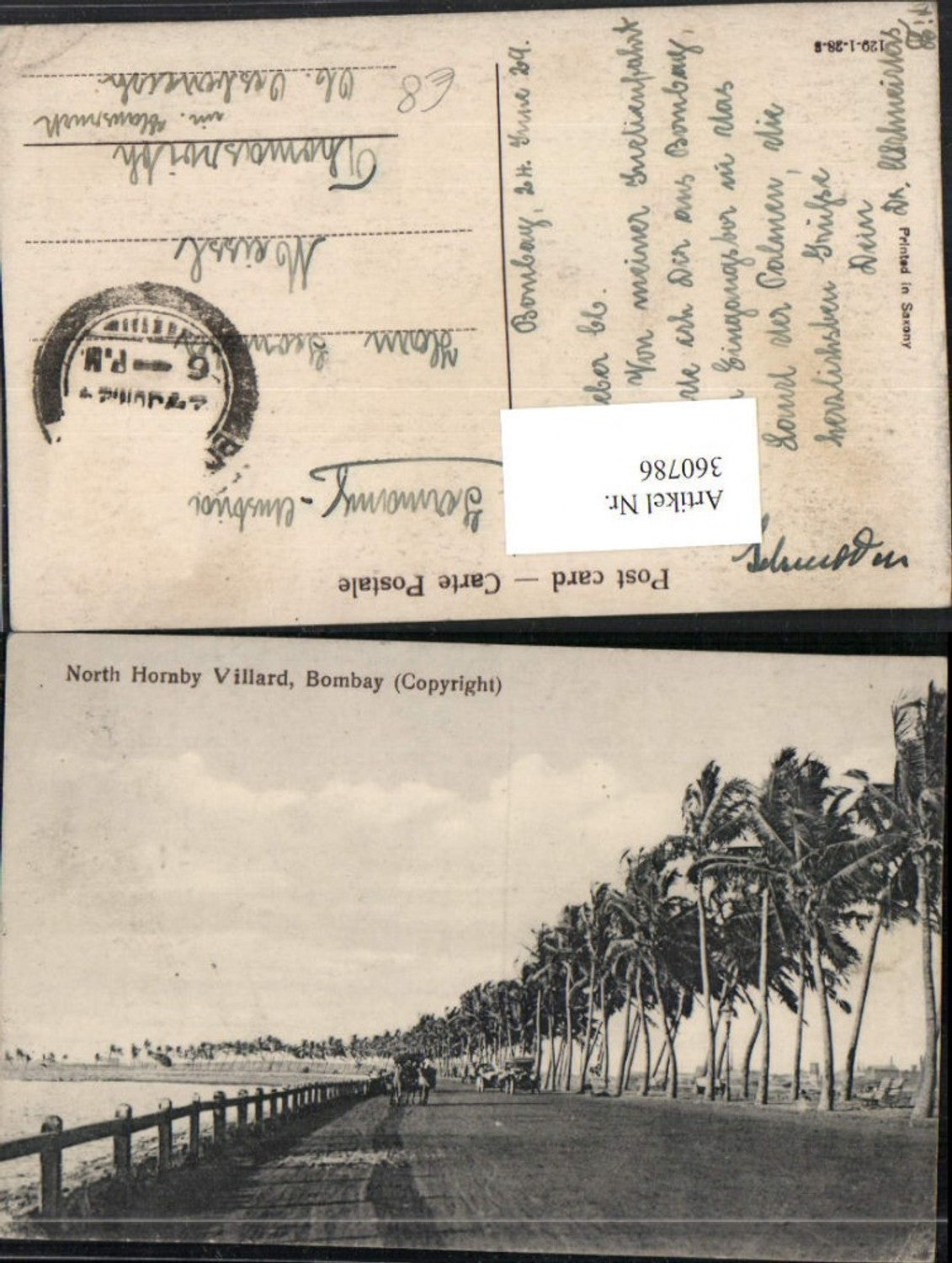 360786,India Mumbai Bombay North Hornby Villard Straßenansicht Palmen
