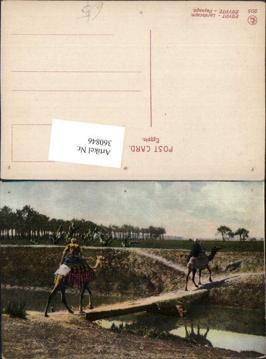 360846,Africa Egypt Egypte Landscape Landschaft Nomaden Kamele Brücke