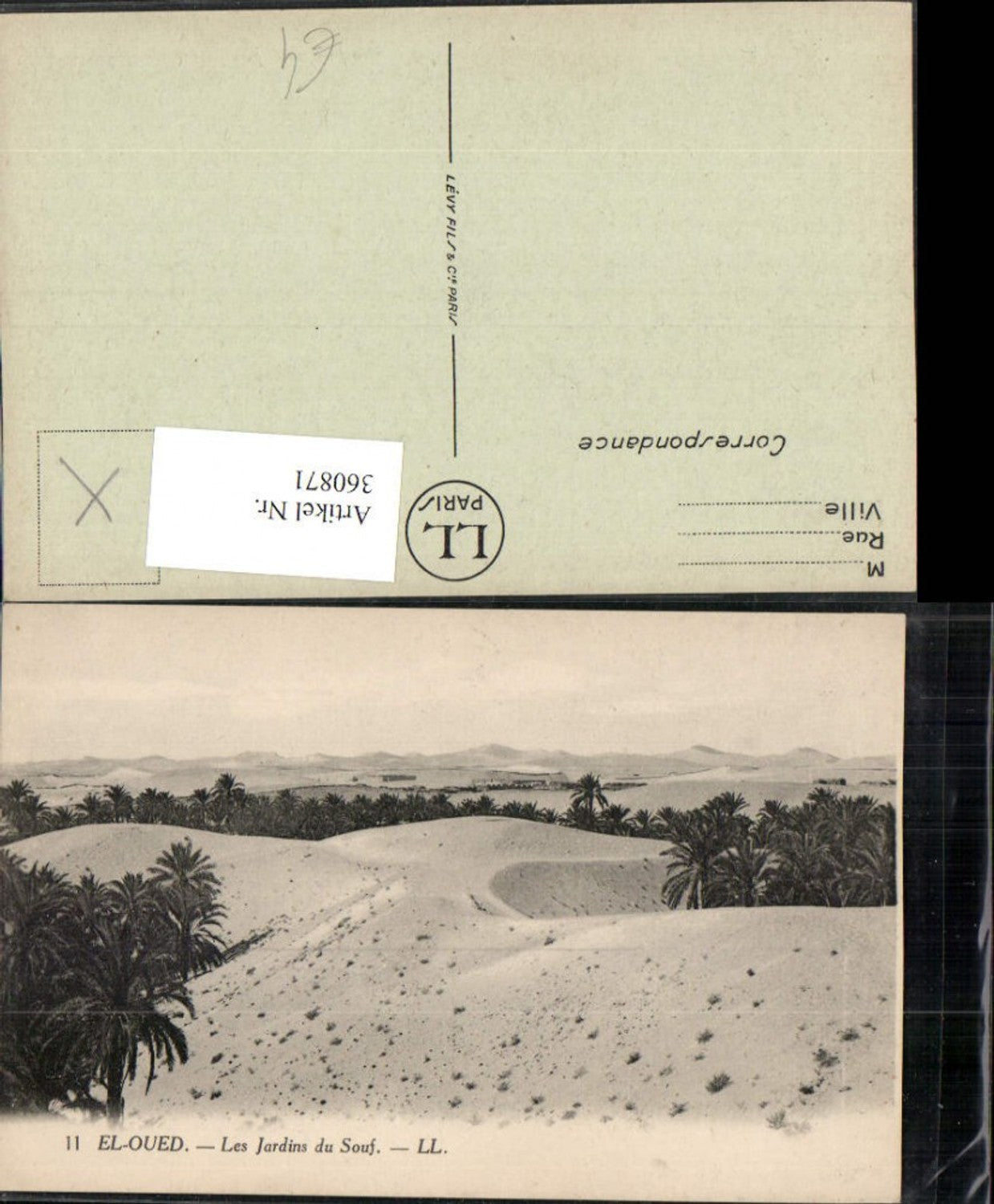 360871,Africa Algeria El Oued Les Jardins du Souf Wüte Palmen