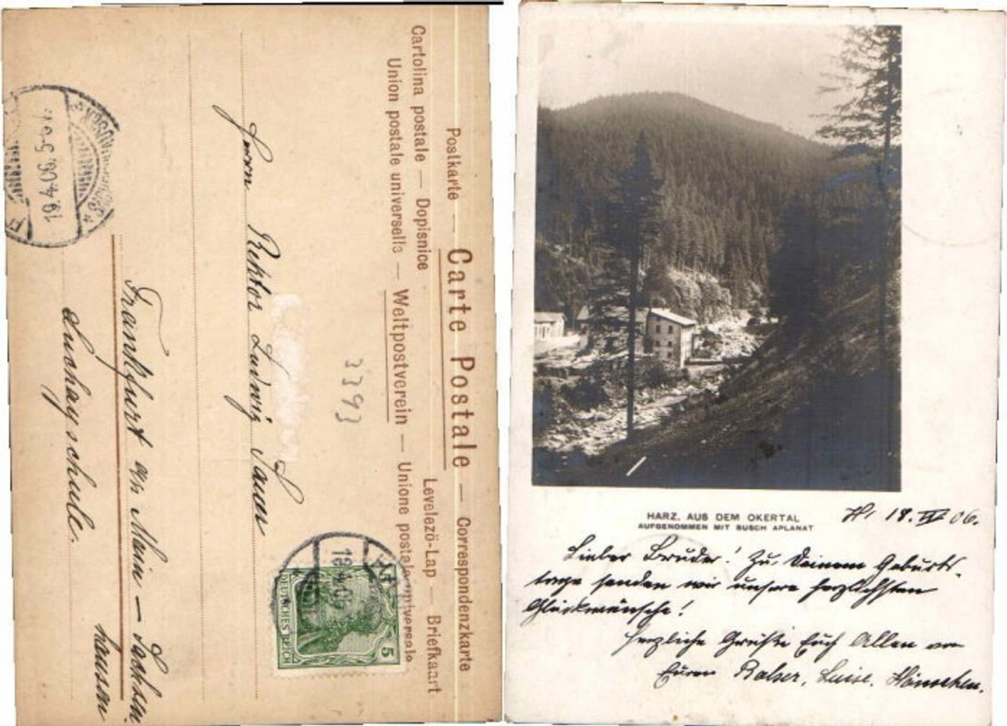 59688,FotoAK Harz Okertal bei Thale Waldpartie 1910