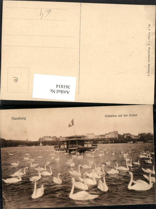 361814,Hamburg Schwäne auf der Alster