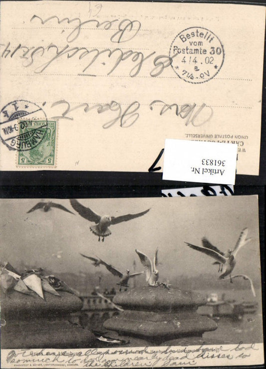 361833,Gruß aus Hamburg Möwen am Jungfernstieg