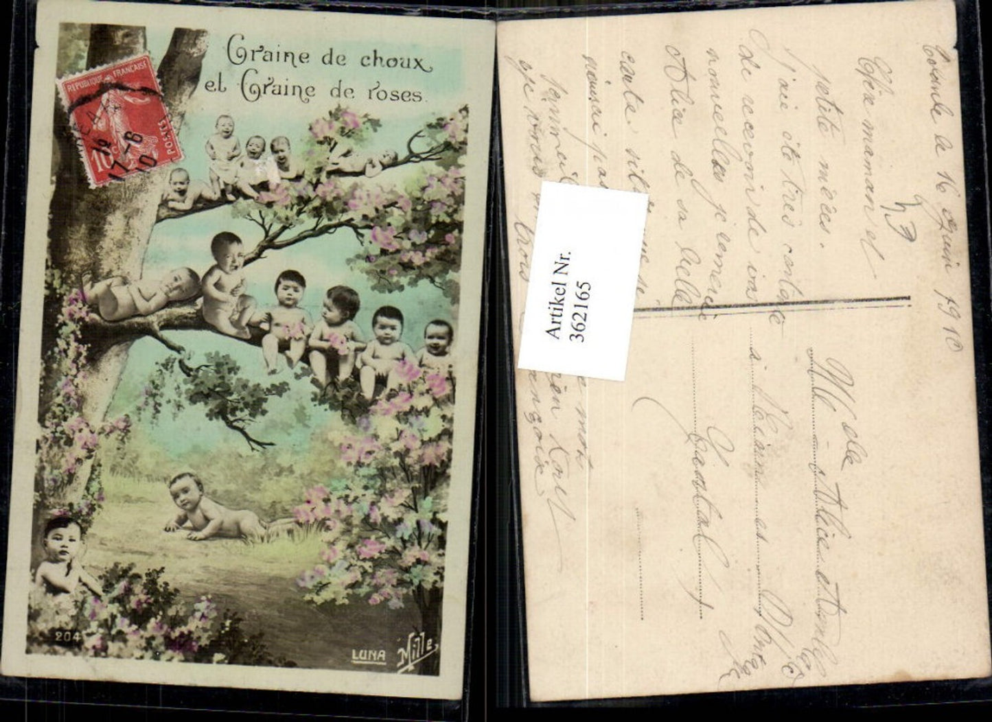362165,Fotomontage Kleinkinder Kinder sitzen a. Baum Craine de choux et Graine de roses