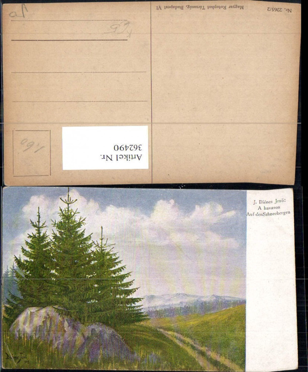 362490,Künstler Ak J. Dienes Jenö Auf d. Schneebergen Landschaft