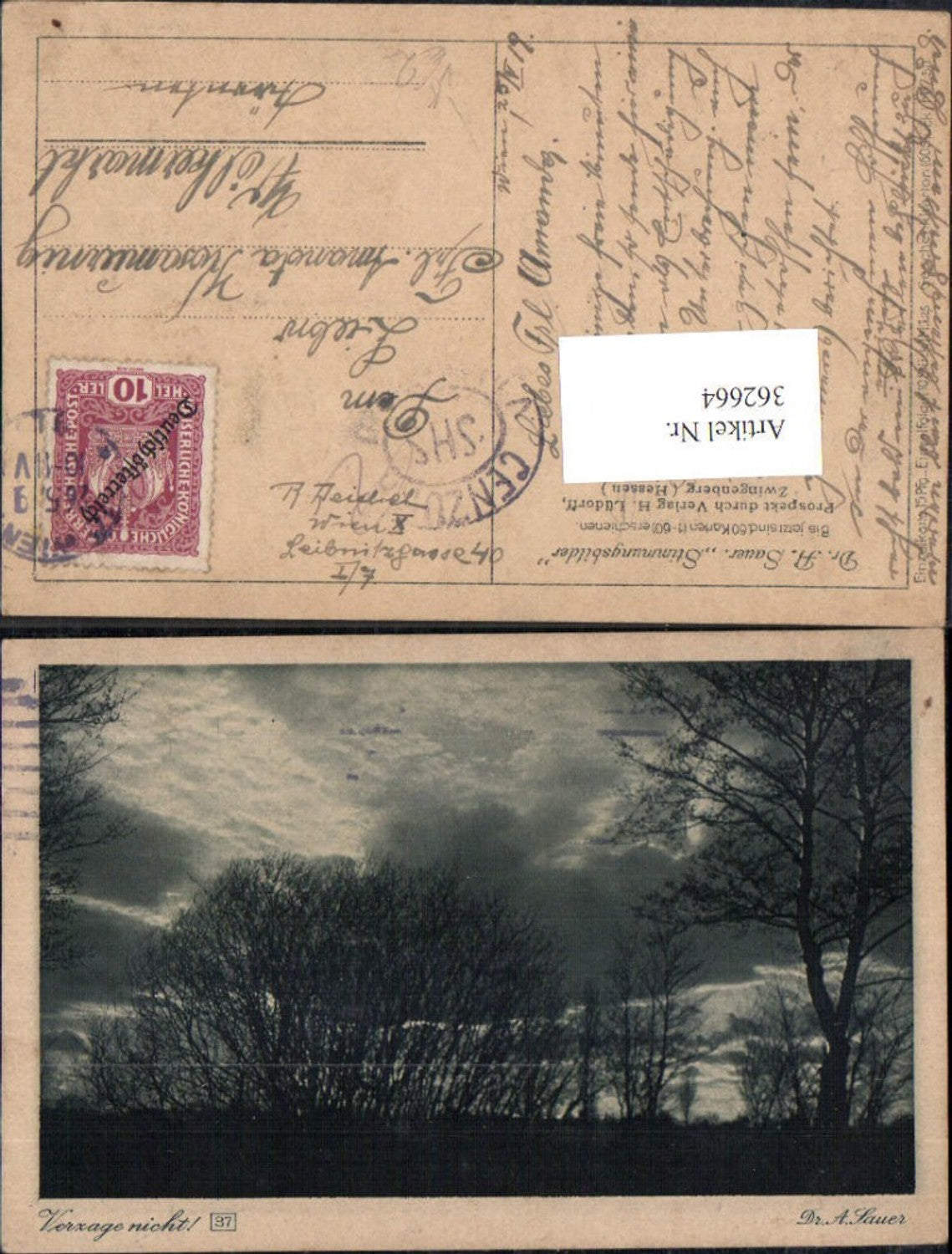 362664,Künstler Ak Dr. A. Sauer Stimmungsbilder Bäume pub H. Lüdorff Zwingenberg
