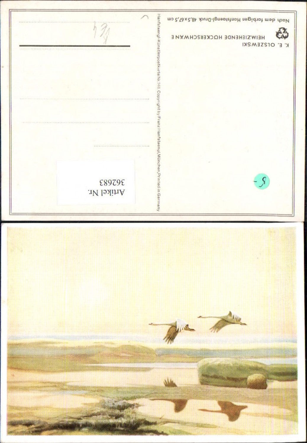 362683,Künstler Ak K. E. Olszewski Heimziehende Höckerschwäne Schwan pub Hanfstängel 148