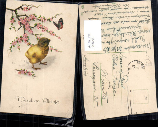 363466,Künstler Ak Ostern Küken Schmetterling Blütenzweig pub EAS 4982