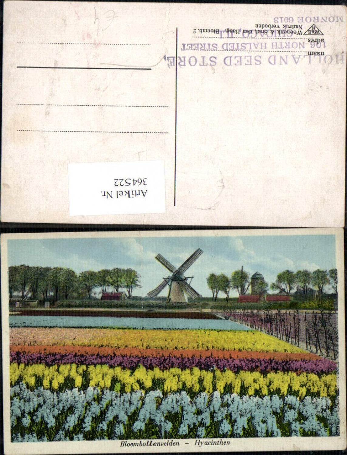 364522,Windmühle Bloembollenvelden Hyacinthen Hyazinthen Blumen Feld