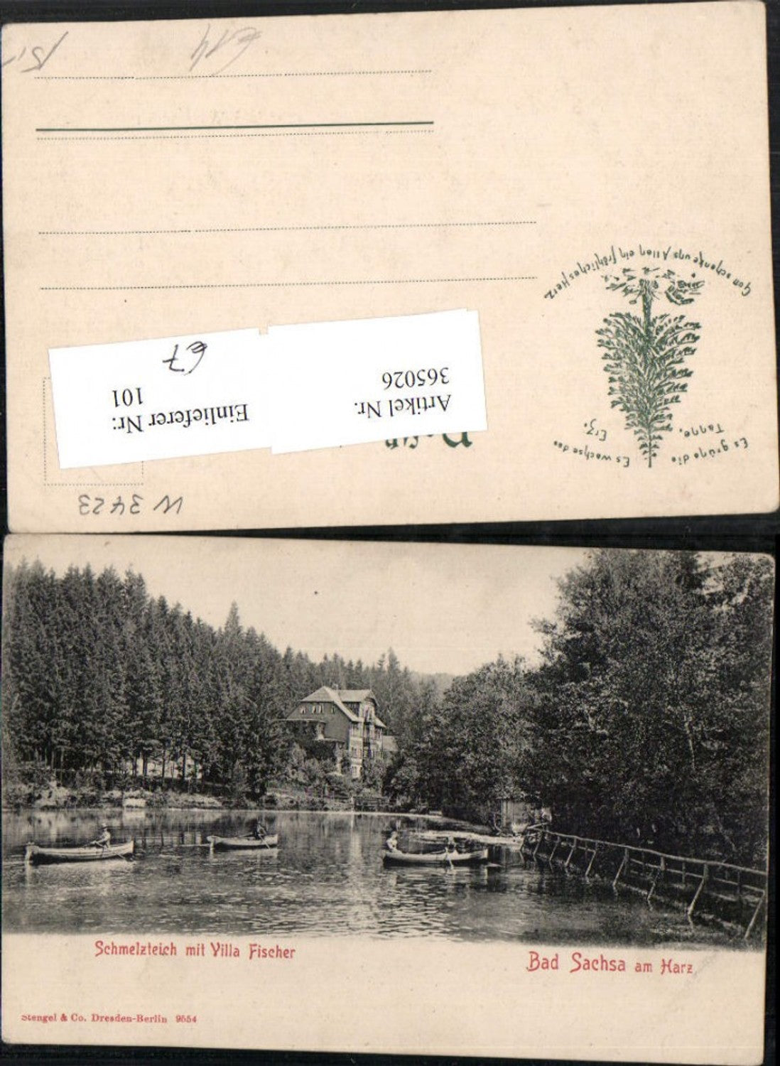 365026,Bad Sachsa am Harz Schmelzteich m. Villa Fischer Ruderboote pub Stengel & Co 9554