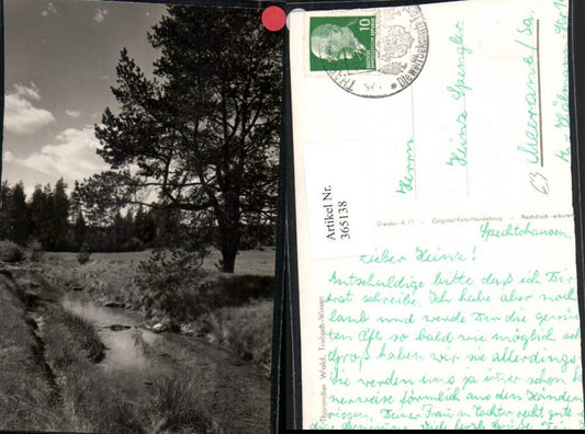 365138,Tharandter Wald Triebisch-Wiesen b. Tharandt Landschaft