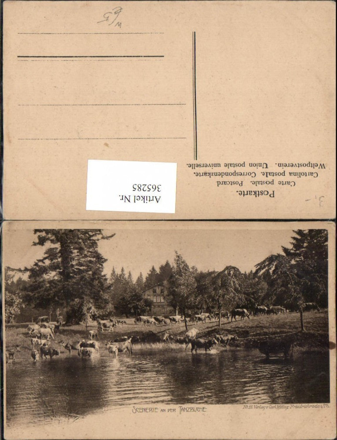 365285,Friedrichroda Szene an der Tanzbuche Rinder Kühe