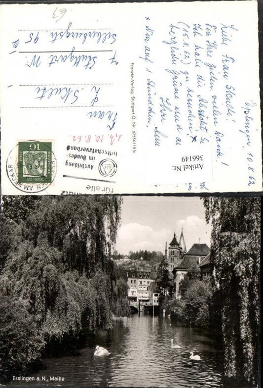 366149, Esslingen am Neckar Maille River Swans