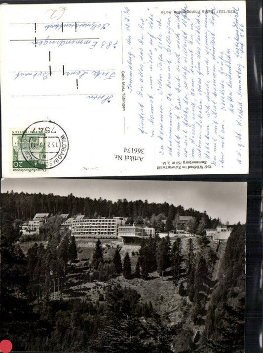 366174, Bad Wildbad in the Black Forest, Sommerberg