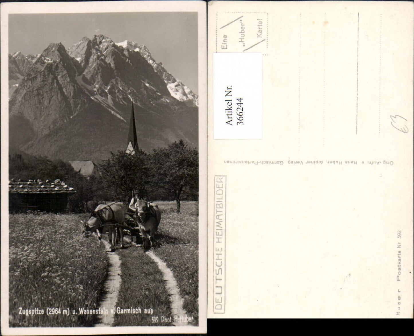366244,Garmisch Zugspitze u. Waxenstein Bergkulisse Kuhgespann pub H. Huber 592
