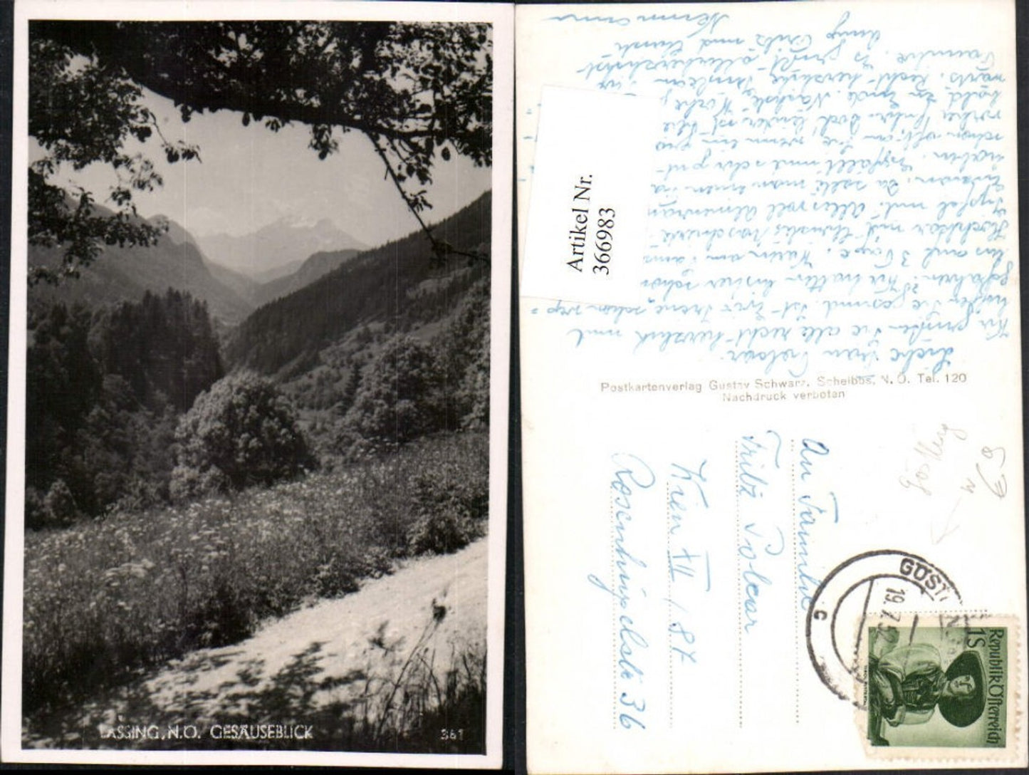 366983,Göstling an d. Ybbs Lassing Gesäuseblick Bergkulisse