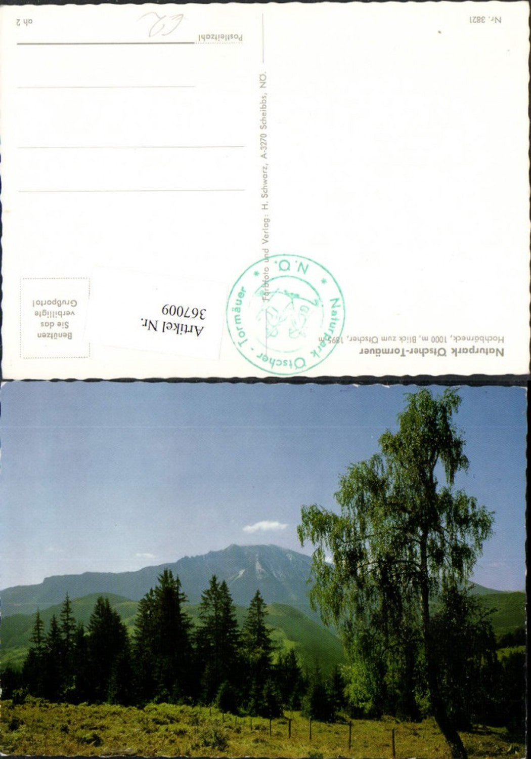 367009,Naturpark Ötscher Tormäuer Hochbärneck m. Ötscher b. St. Anton Bergkulisse