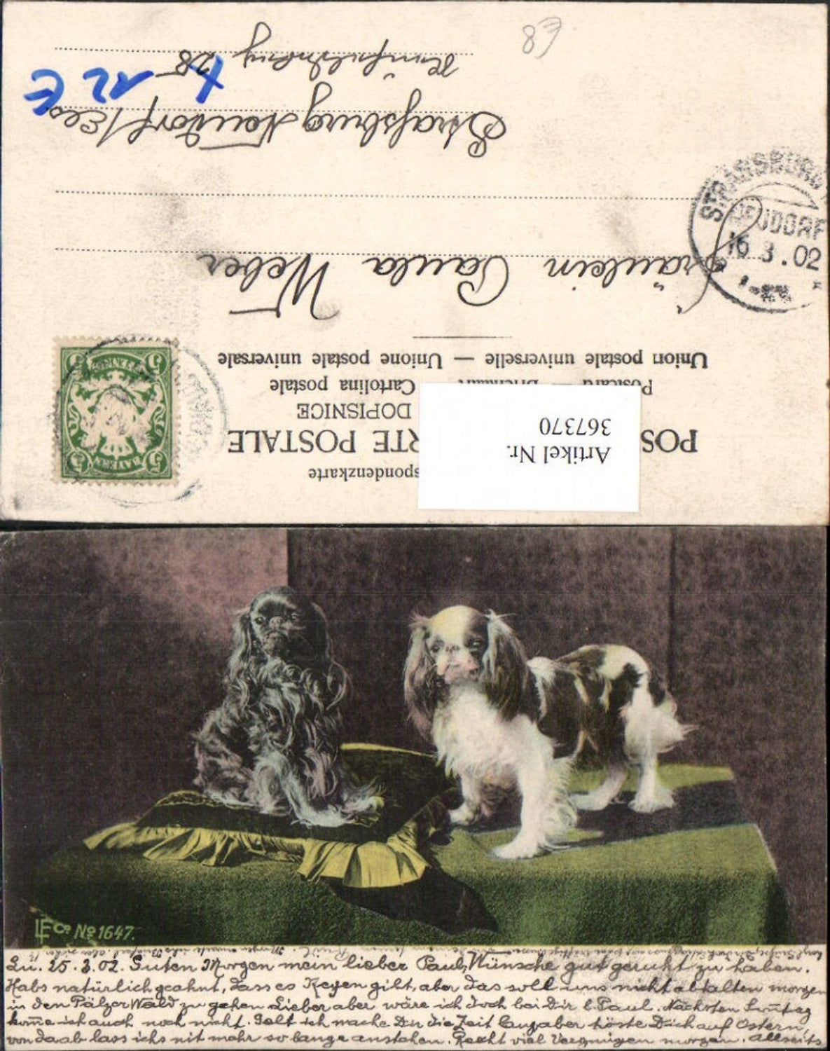 Alte Ansichtskarte – Old Postcard