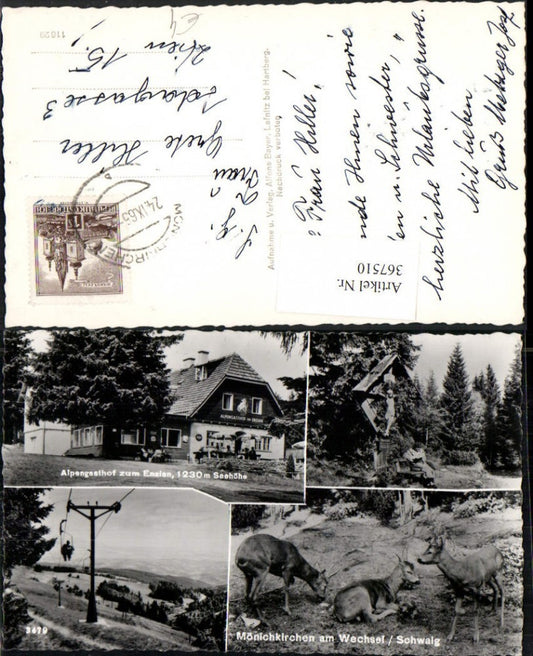 367510,Mönichkirchen am Wechsel Alpengasthof zum Enzian Sessellift Wegkreuz Rehe Mehrbildkarte